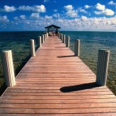 hcg diet florida
